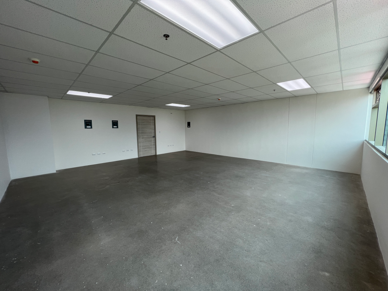 Espacio de oficina con piso de cemento sólido, paredes y techo de tabla yeso color blanco, lámparas led rectangulares empotradas y una ventana larga horizontal al fondo una puerta de madera.