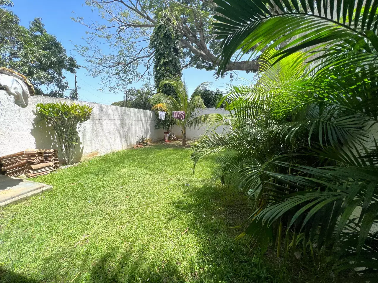 Área amplia de jardín cuenta con césped bien cuidado y área para secar ropa bajo el sol, además cuenta con diferentes palmeras pequeñas y arbustos.