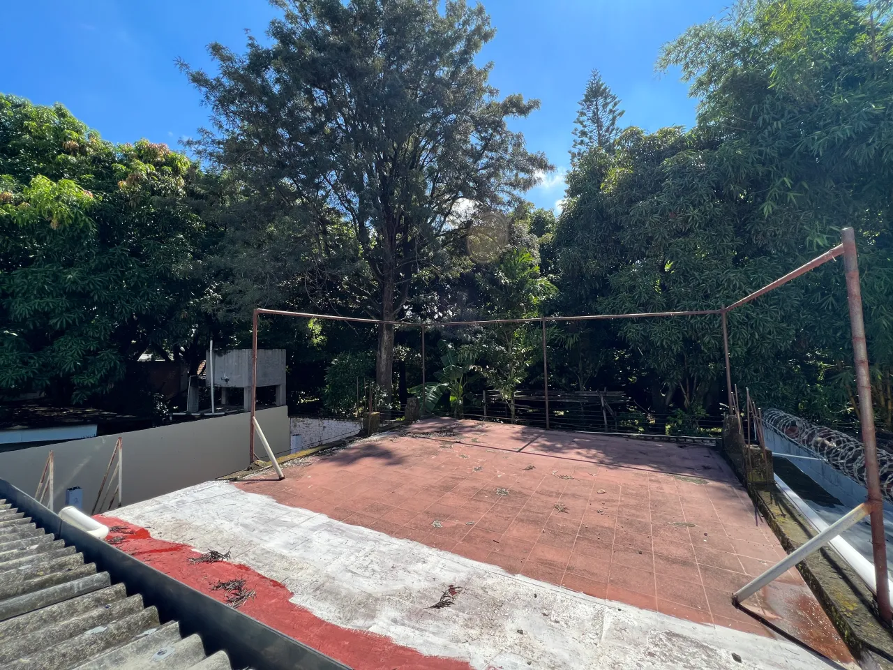 Terraza de la casa en renta situado en la colonia Humuya rodeado de arboles de día con cielo azul.