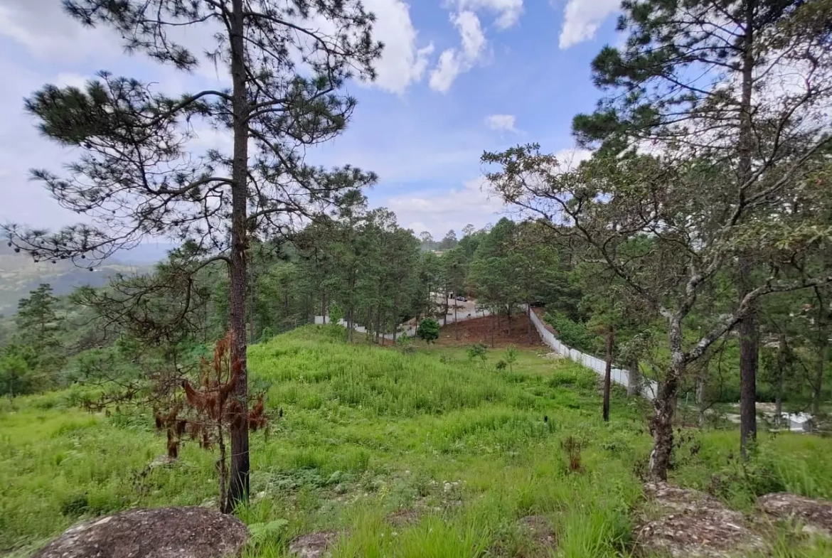 Amplio terreno ubicado en el municipio de Valle de Ángeles, Honduras.
