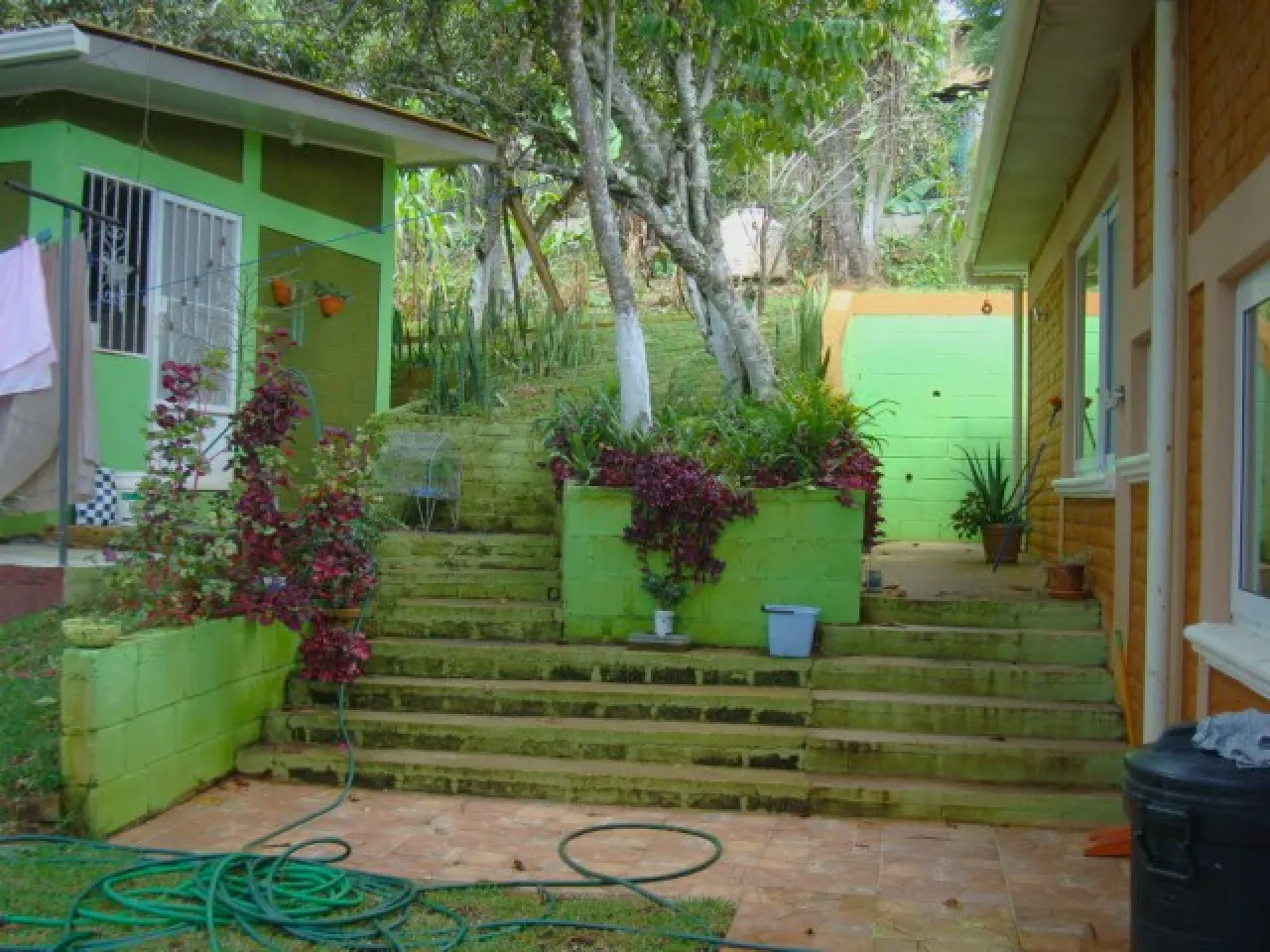 Área de jardín cuenta con gradas y paredes de color verde con naranja y diferentes árboles y área verde.