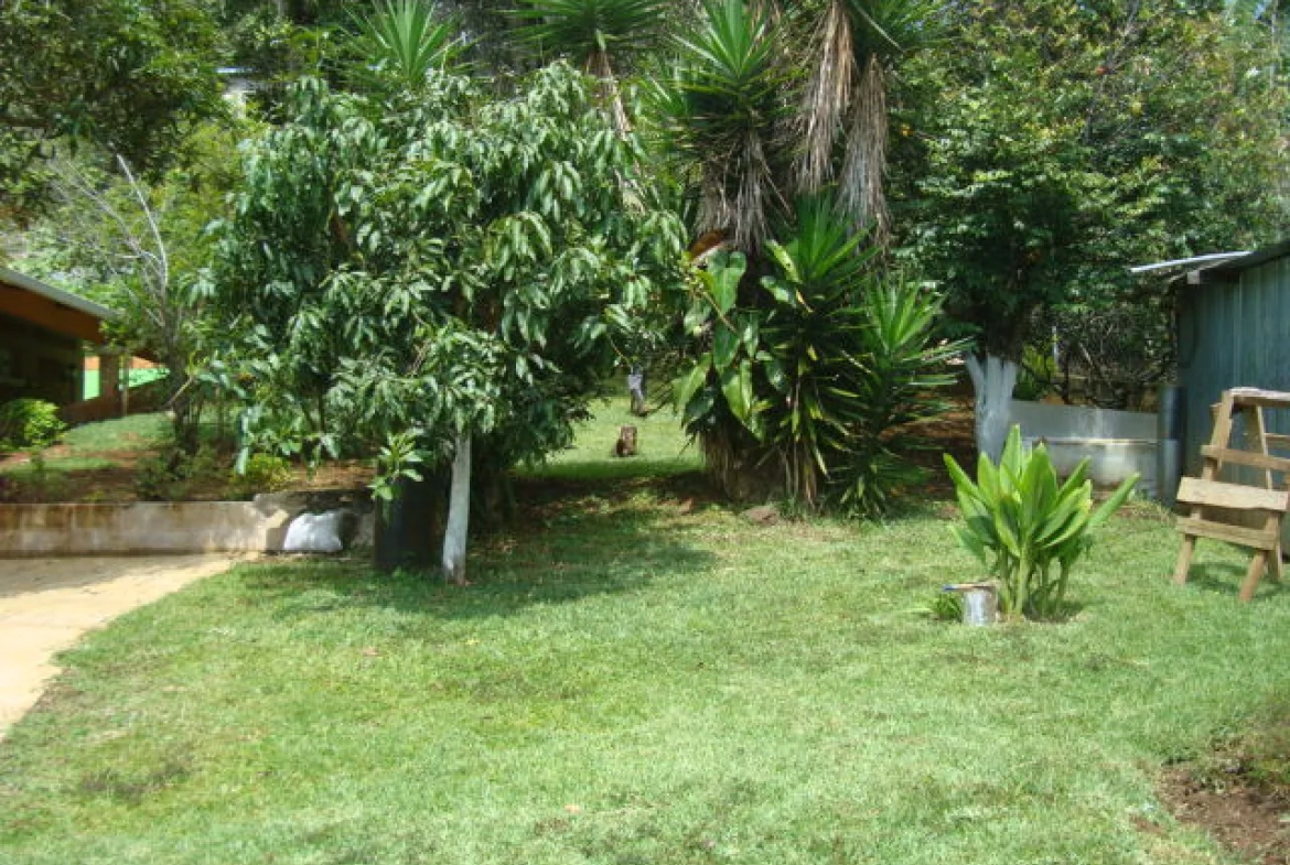 Área verde con cesped y diferentes arboles.