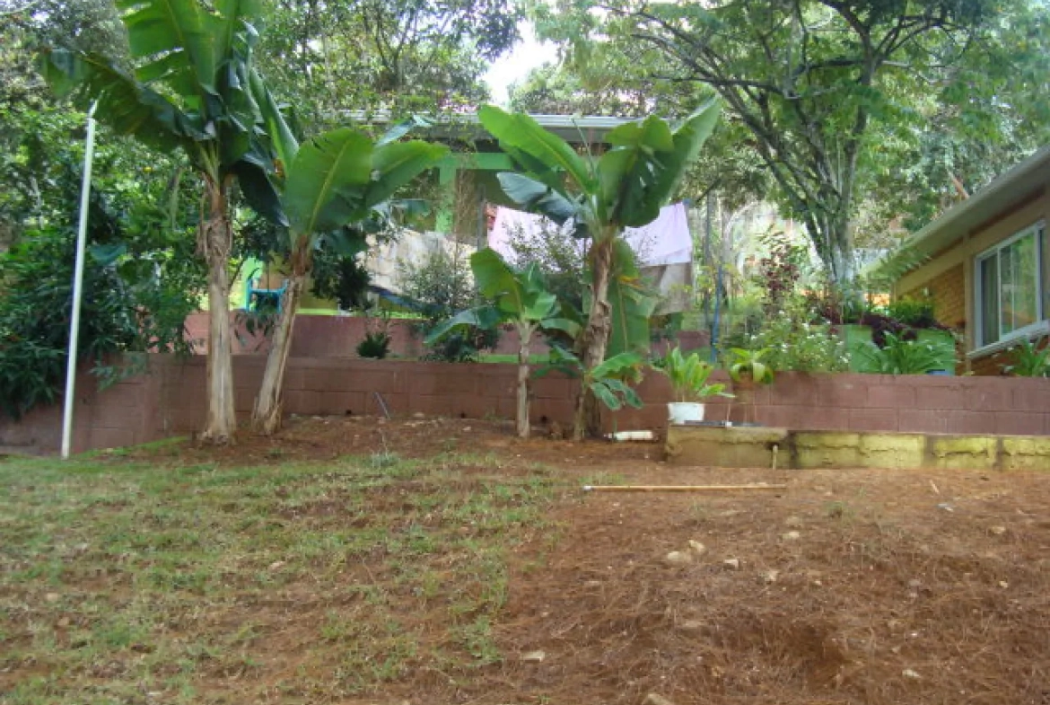 Área de patio con diferentes plantas y árboles, cuenta con césped, árboles de pino, diferentes flores.