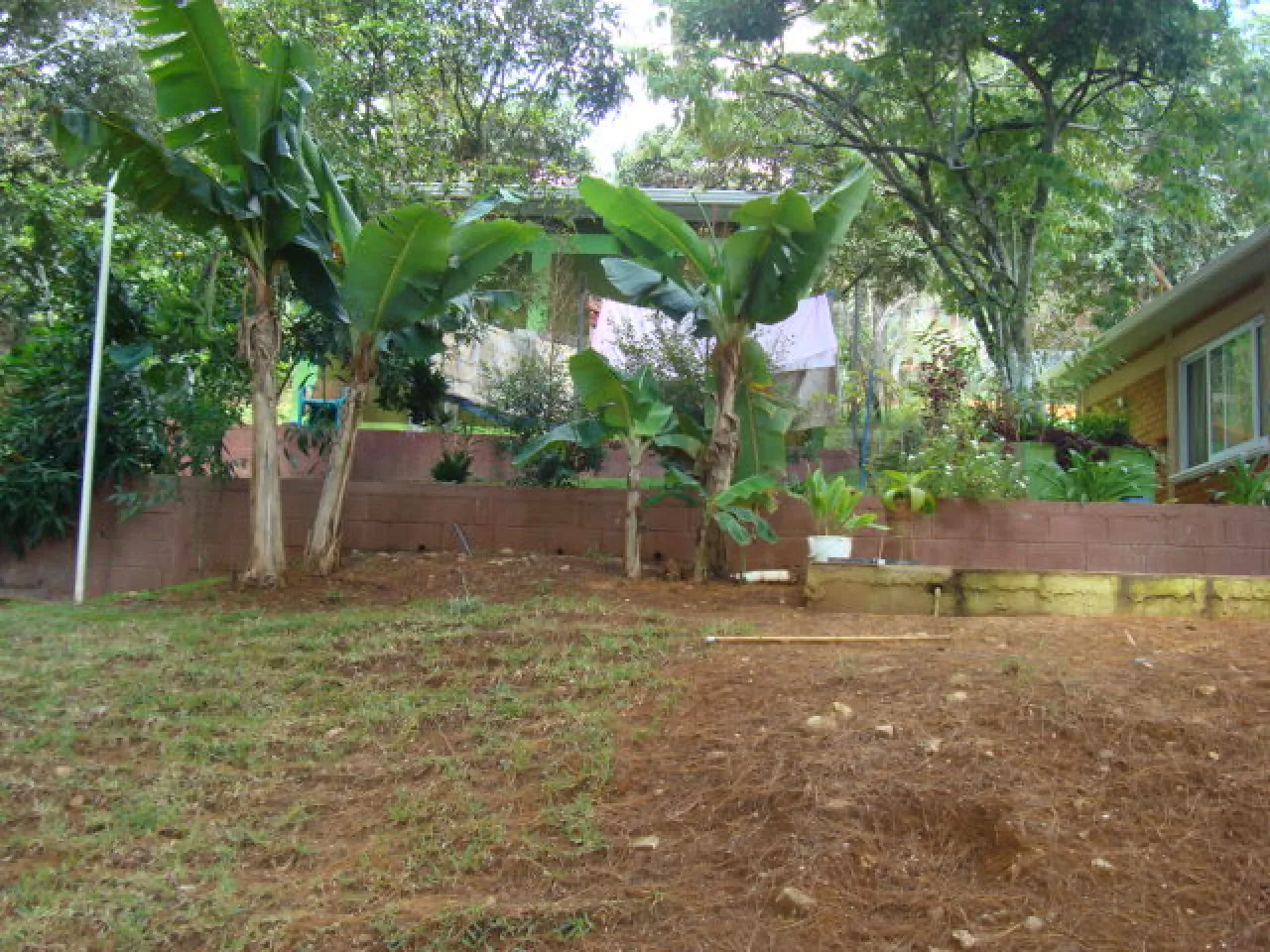 Área de patio con diferentes plantas y árboles, cuenta con césped, árboles de pino, diferentes flores.