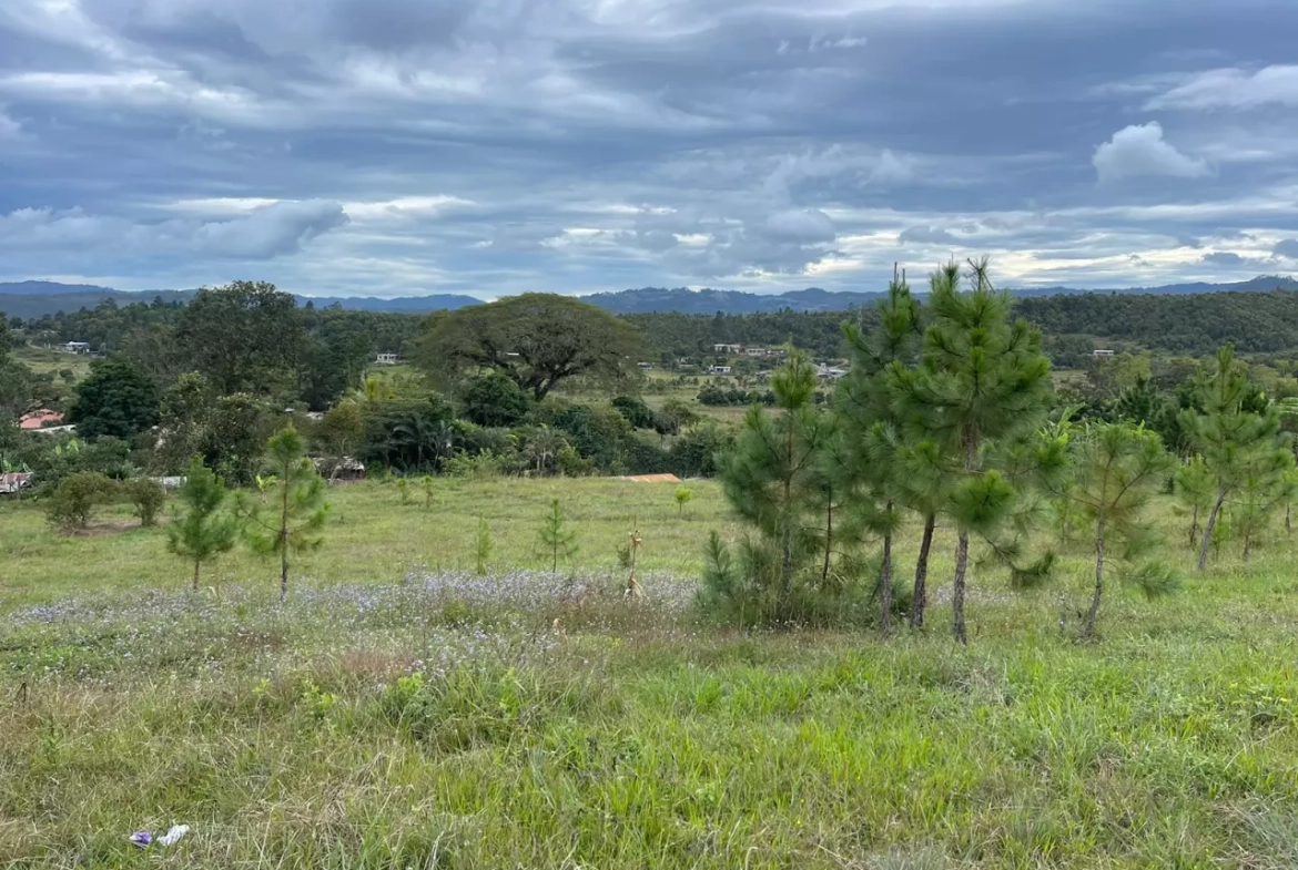 Venta de terreno en Aldea San Matías, de topografía plana, con grama verde, con vista a las montañas.