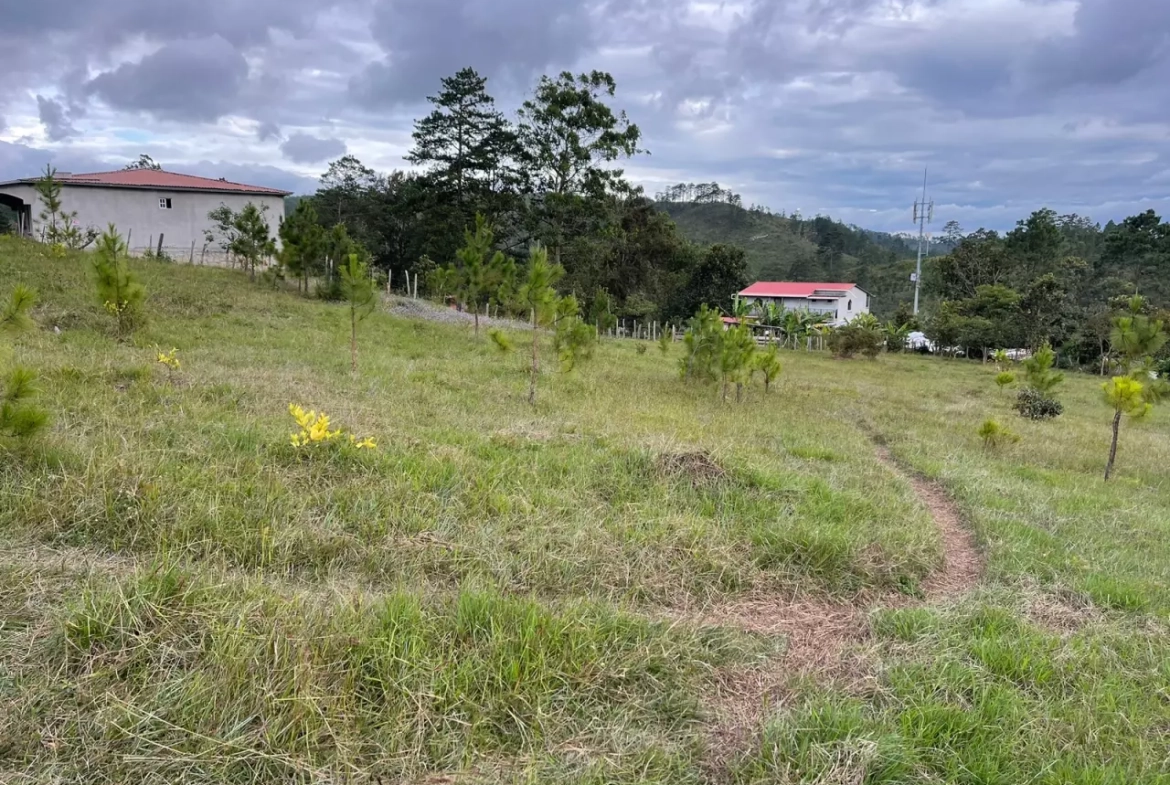 Venta de terreno en Francisco Morazán, de topografía plana, con grama verde, con vista a las montañas.