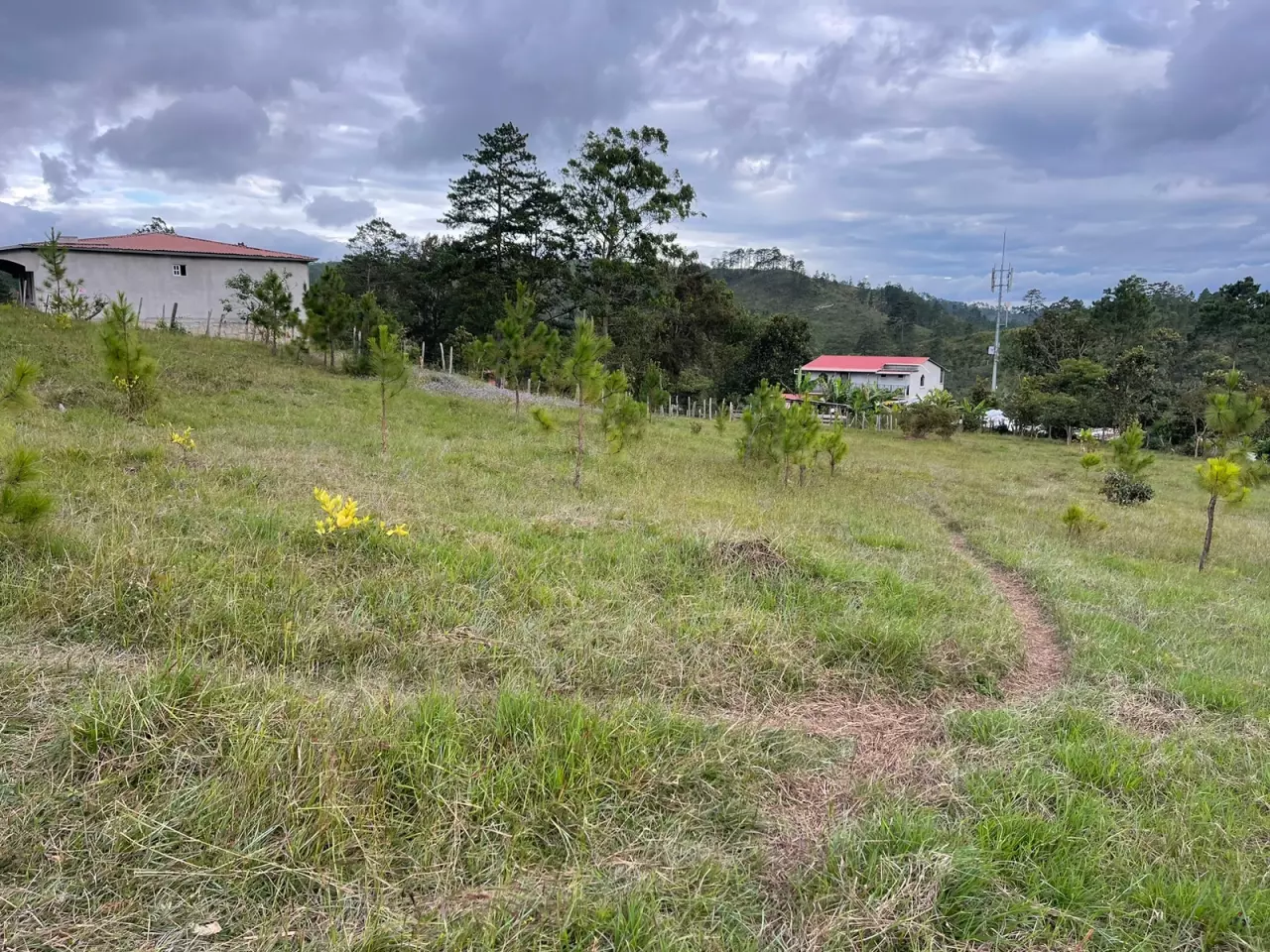 Venta de terreno en Francisco Morazán, de topografía plana, con grama verde, con vista a las montañas.