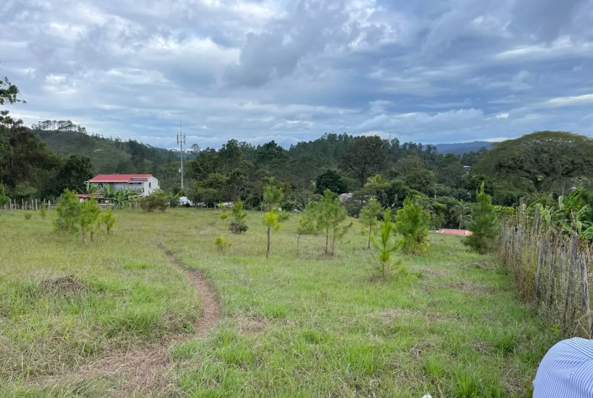 Venta de terreno en Francisco Morazán, de topografía plana, con grama verde, con vista a las montañas, de día con cielo nublado.