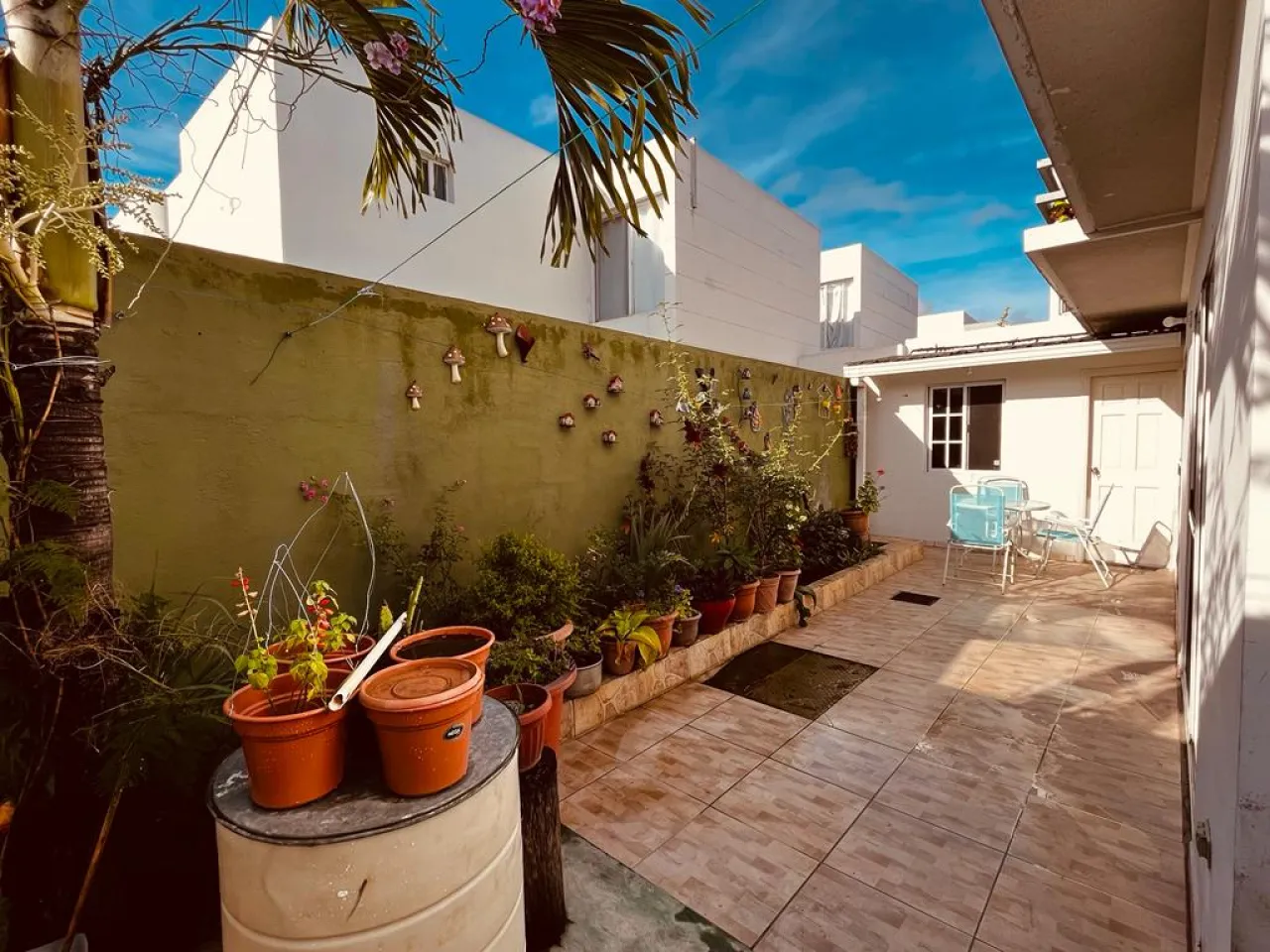 Esta vivienda cuenta con un bonito patio que puedes personalizar a tu gusto incluso colocar plantas para crear un ambiente más acogedor.